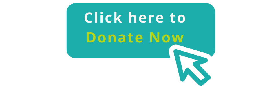 click here to donate now